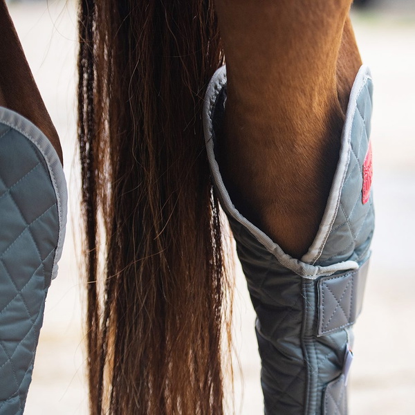 Equilibrium Hind & Hock Magnetic Chaps EQB1186 - Grey